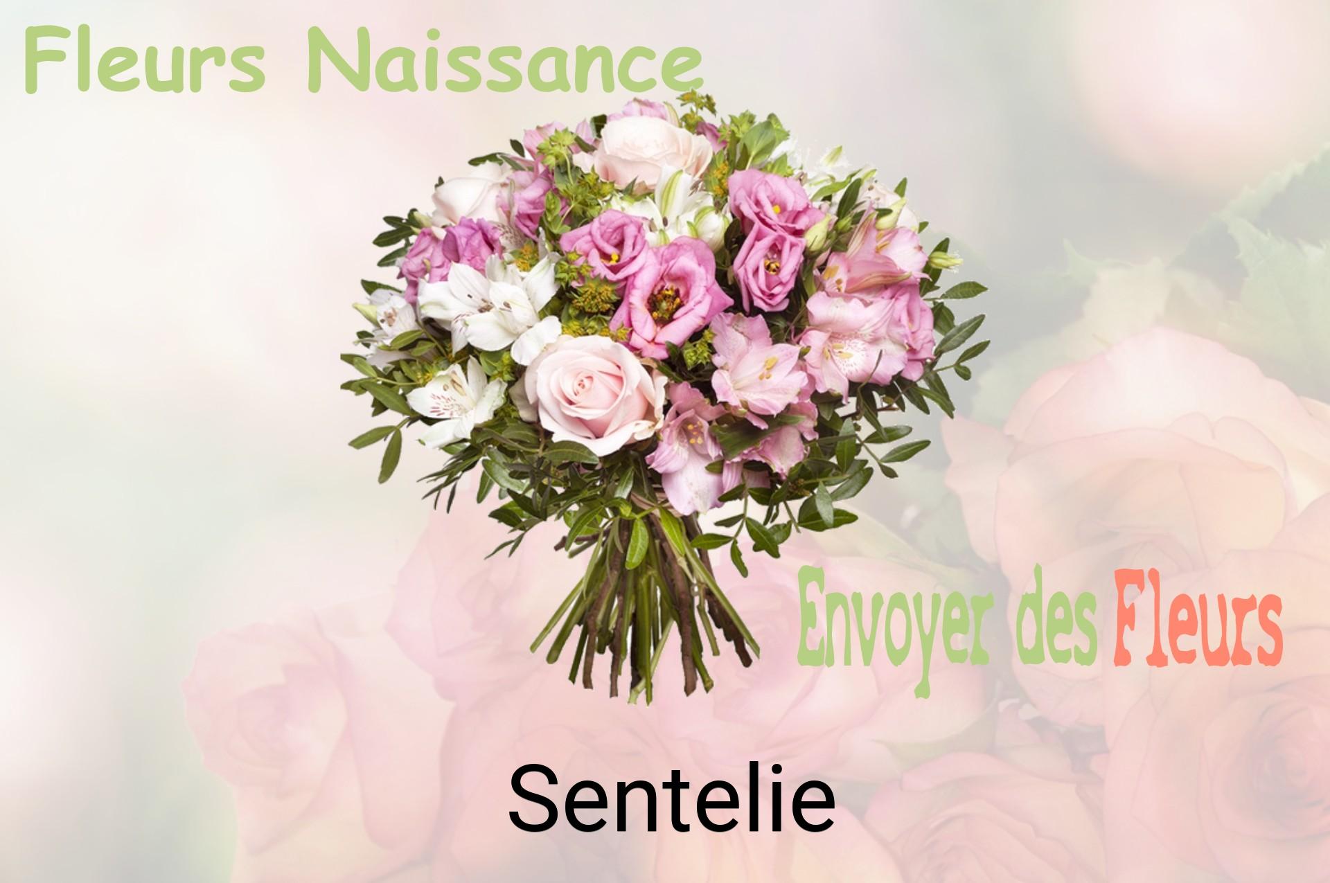 Bouquet de fleurs de naissance livré à Sentelie